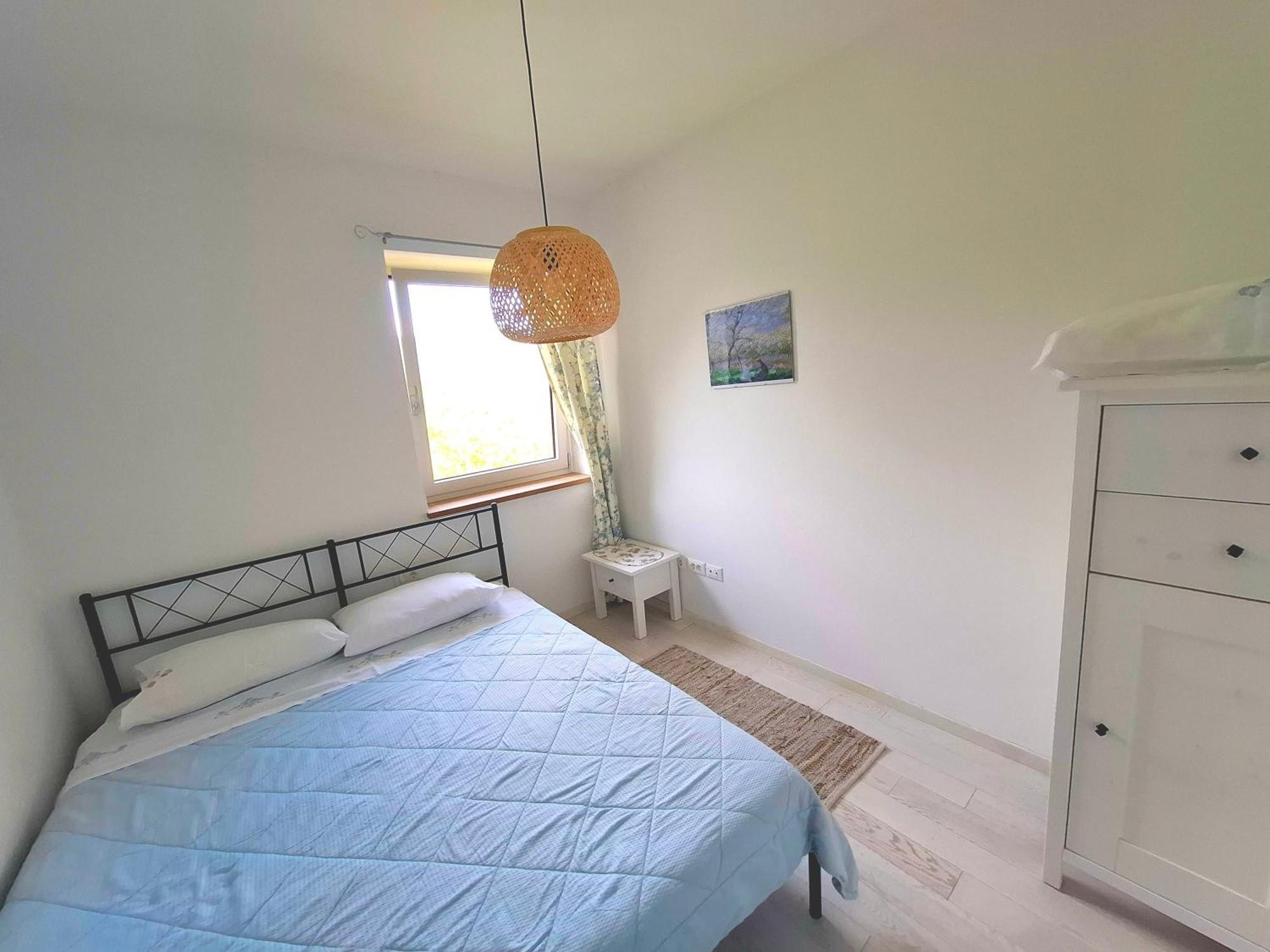 Apartma Lavanda Kojsko Exterior photo