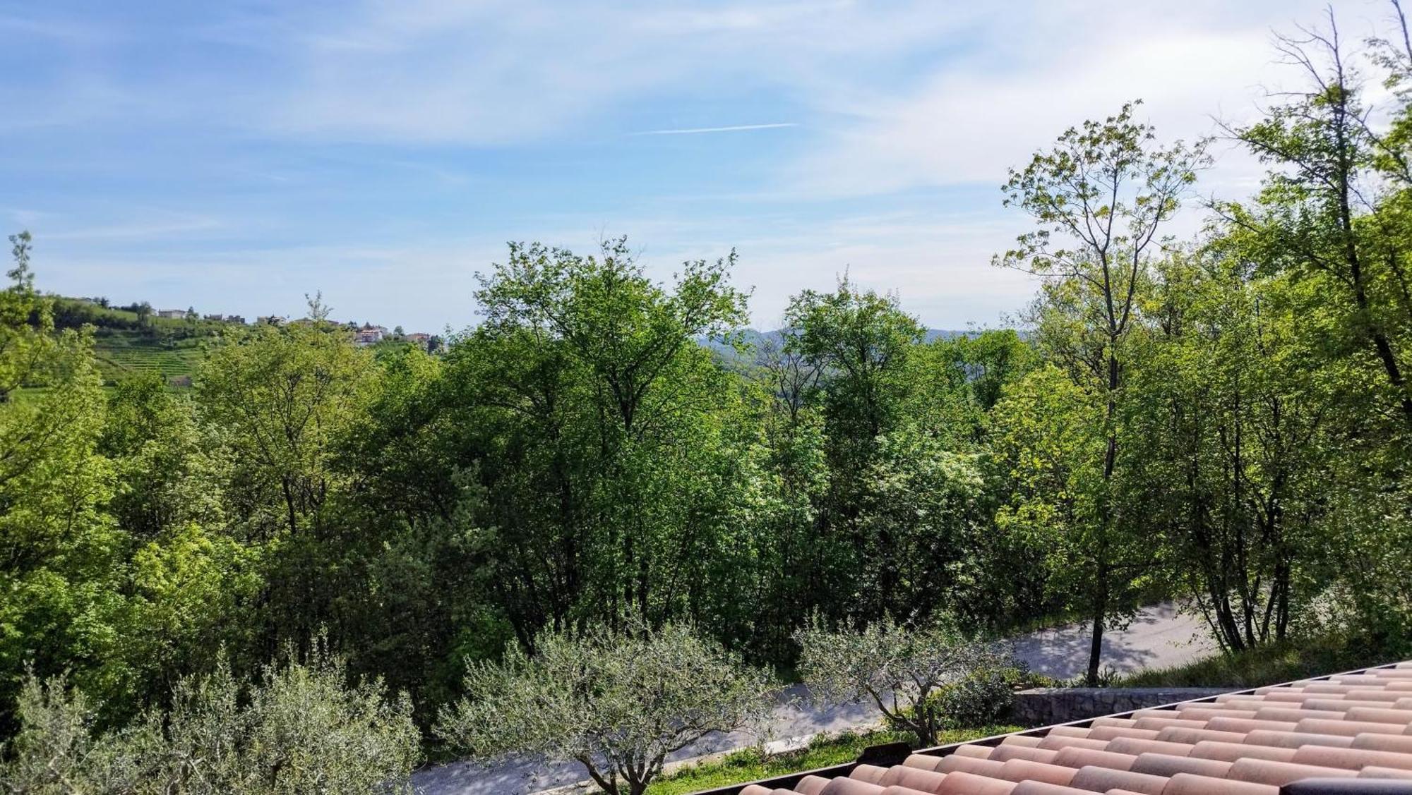 Apartma Lavanda Kojsko Exterior photo